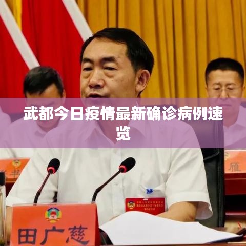 武都今日疫情最新确诊病例速览