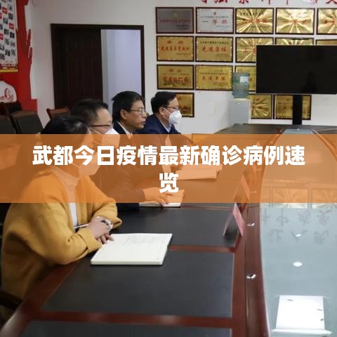 武都今日疫情最新确诊病例速览