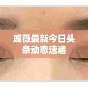 戚薇最新今日头条动态速递