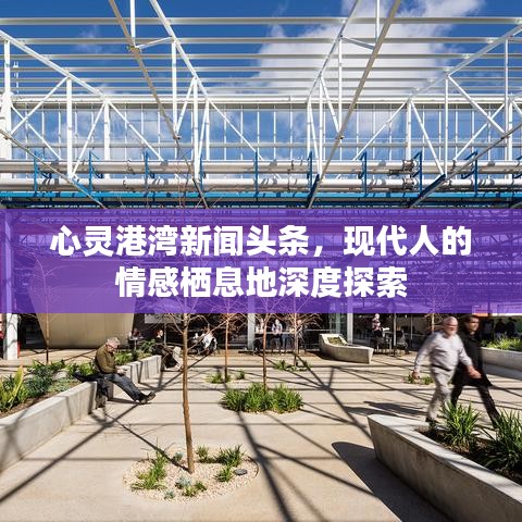心灵港湾新闻头条,现代人的情感栖息地深度探索