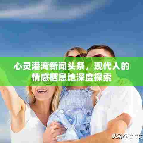 心灵港湾新闻头条,现代人的情感栖息地深度探索