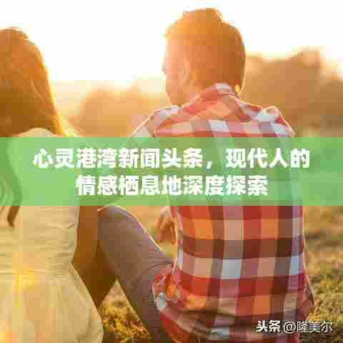 心灵港湾新闻头条,现代人的情感栖息地深度探索