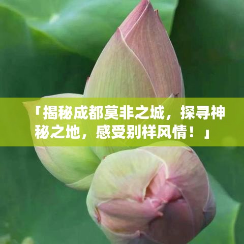 「揭秘成都莫非之城,探寻神秘之地,感受别样风情!」