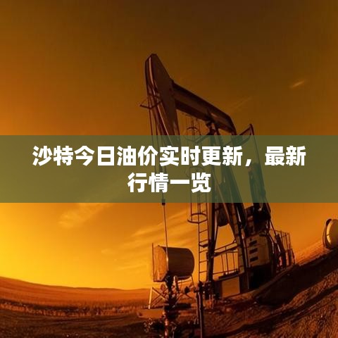 沙特今日油价实时更新,最新行情一览