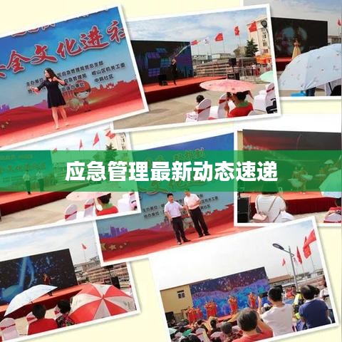 应急管理最新动态速递