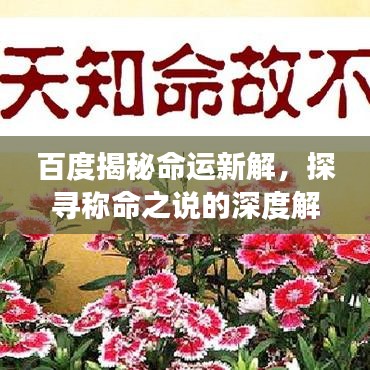 半新不旧 第4页