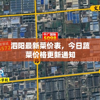 泗阳最新菜价表,今日蔬菜价格更新通知