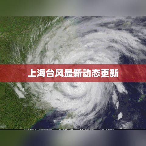上海台风最新动态更新