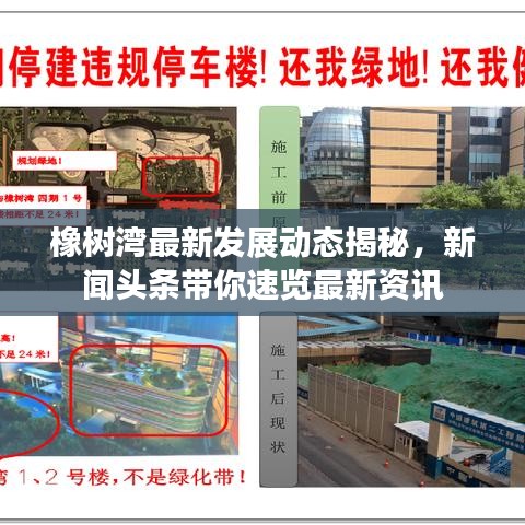 橡树湾最新发展动态揭秘,新闻头条带你速览最新资讯