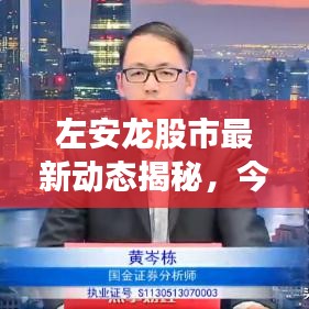 左安龙股市最新动态揭秘，今日走势一览无余