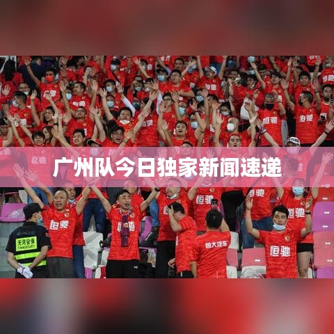 广州队今日独家新闻速递