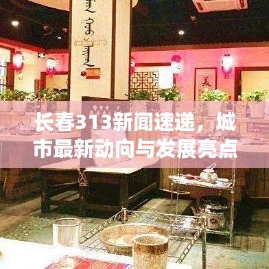 长春313新闻速递，城市最新动向与发展亮点揭秘