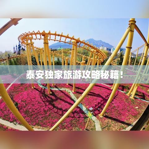 泰安独家旅游攻略秘籍!