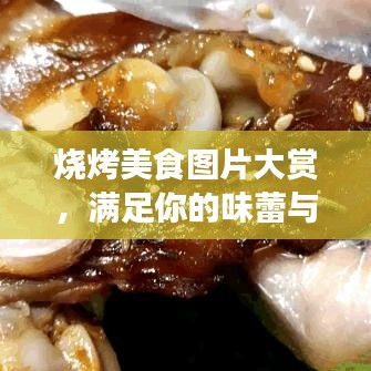 烧烤美食图片大赏,满足你的味蕾与视觉享受!