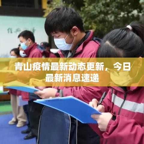 青山疫情最新动态更新，今日最新消息速递