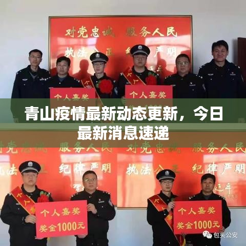 青山疫情最新动态更新,今日最新消息速递