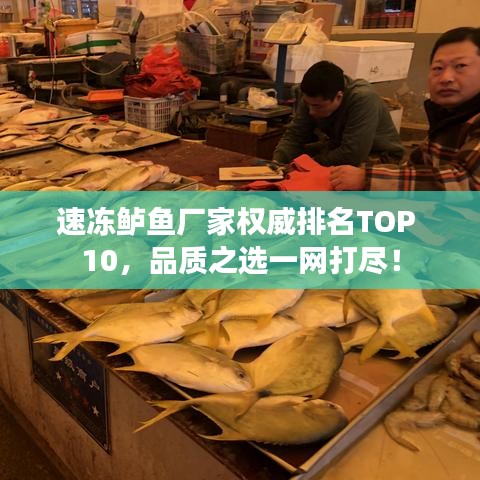 速冻鲈鱼厂家权威排名TOP 10,品质之选一网打尽!