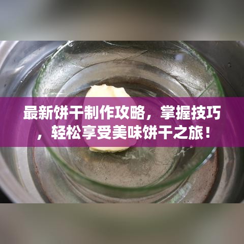 最新饼干制作攻略,掌握技巧,轻松享受美味饼干之旅!