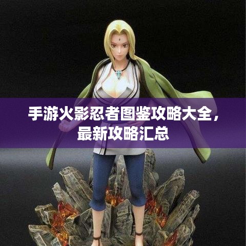 手游火影忍者图鉴攻略大全,最新攻略汇总