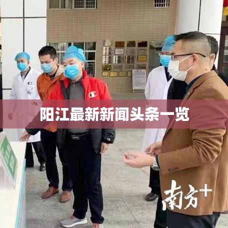 阳江最新新闻头条一览