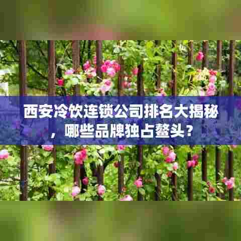 西安冷饮连锁公司排名大揭秘,哪些品牌独占鳌头?