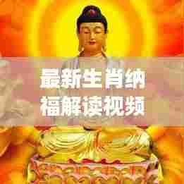 最新生肖纳福解读视频合集,深度探索生肖文化的神秘内涵与福运寓意