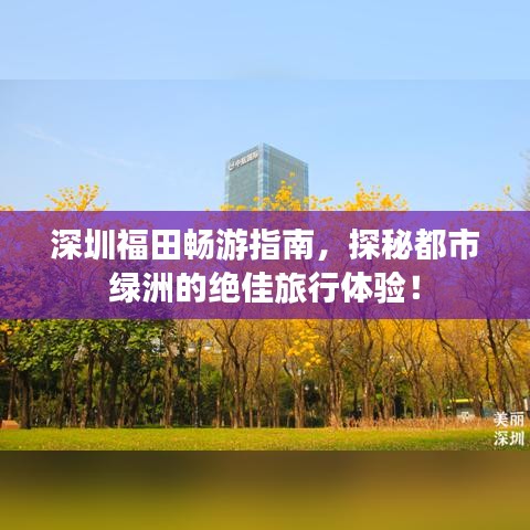 深圳福田畅游指南,探秘都市绿洲的绝佳旅行体验!
