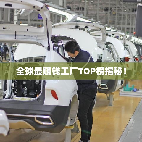 纲挈目张 第4页