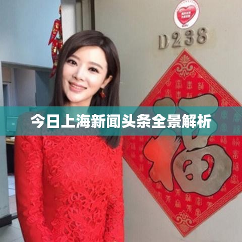 今日上海新闻头条全景解析