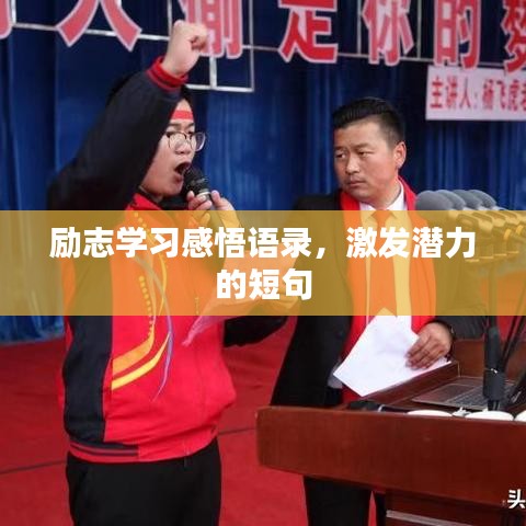 励志学习感悟语录,激发潜力的短句