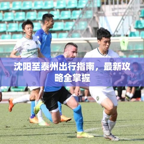 沈阳至泰州出行指南,最新攻略全掌握