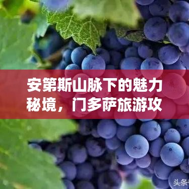 安第斯山脉下的魅力秘境,门多萨旅游攻略探索之旅