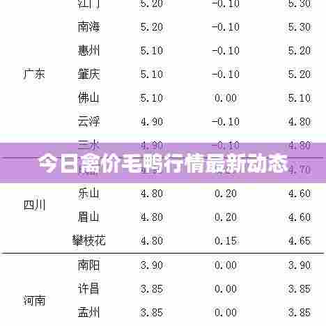 今日禽价毛鸭行情最新动态