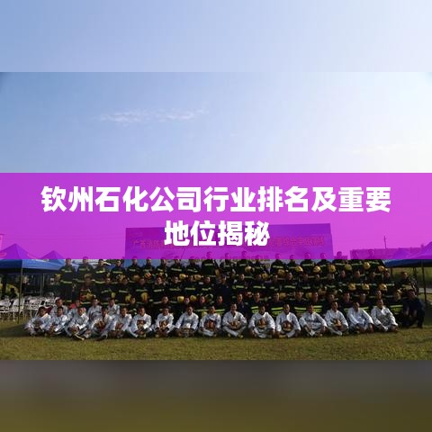 钦州石化公司行业排名及重要地位揭秘