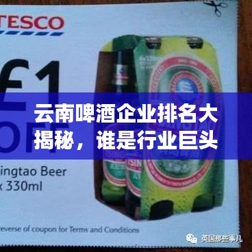 云南啤酒企业排名大揭秘,谁是行业巨头?