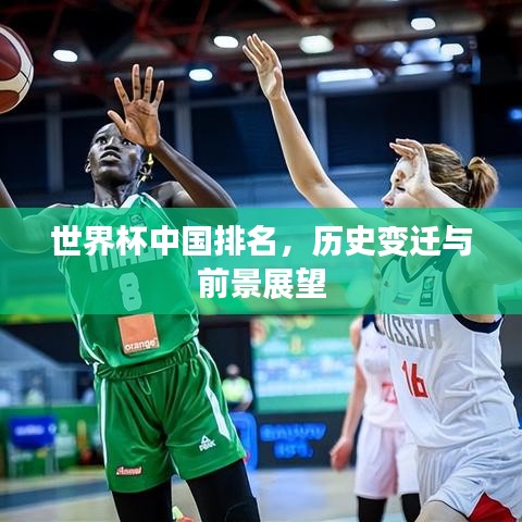 世界杯中国排名,历史变迁与前景展望