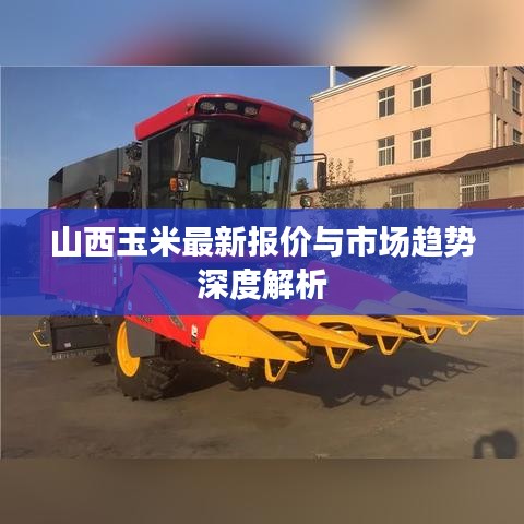山西玉米最新报价与市场趋势深度解析
