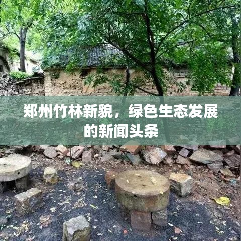 郑州竹林新貌,绿色生态发展的新闻头条