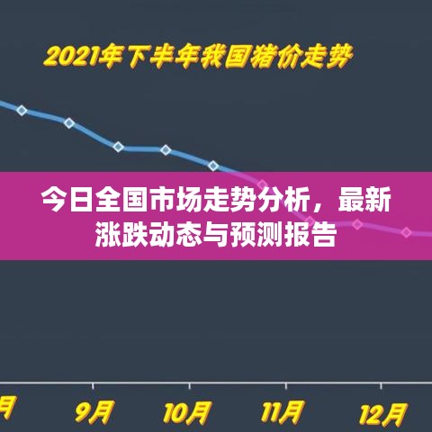 今日全国市场走势分析,最新涨跌动态与预测报告