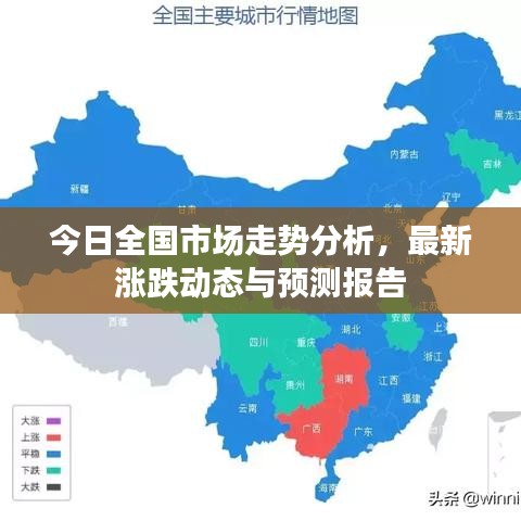 今日全国市场走势分析,最新涨跌动态与预测报告