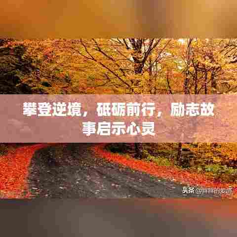 攀登逆境,砥砺前行,励志故事启示心灵