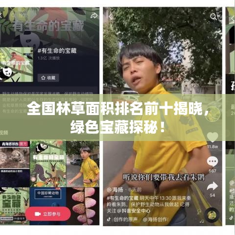 全国林草面积排名前十揭晓,绿色宝藏探秘!