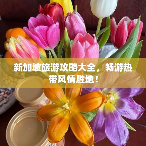 新加坡旅游攻略大全,畅游热带风情胜地!