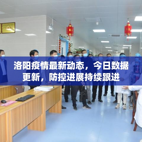 洛阳疫情最新动态,今日数据更新,防控进展持续跟进