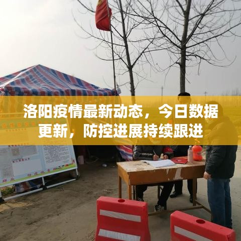 洛阳疫情最新动态,今日数据更新,防控进展持续跟进