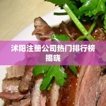 沭阳注册公司热门排行榜揭晓