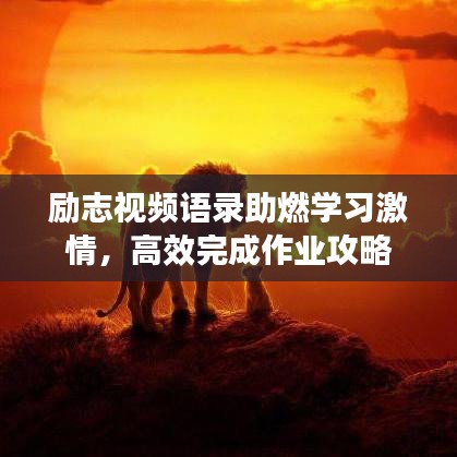 励志视频语录助燃学习激情,高效完成作业攻略