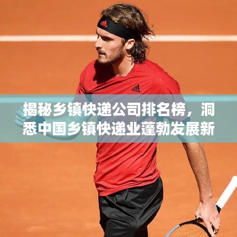 揭秘乡镇快递公司排名榜,洞悉中国乡镇快递业蓬勃发展新态势