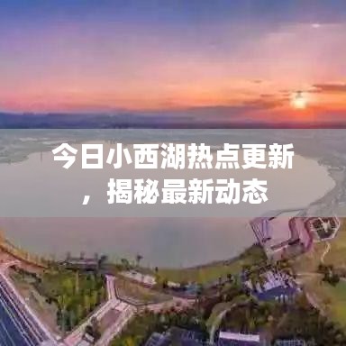 今日小西湖热点更新,揭秘最新动态