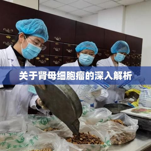 关于肾母细胞瘤的深入解析